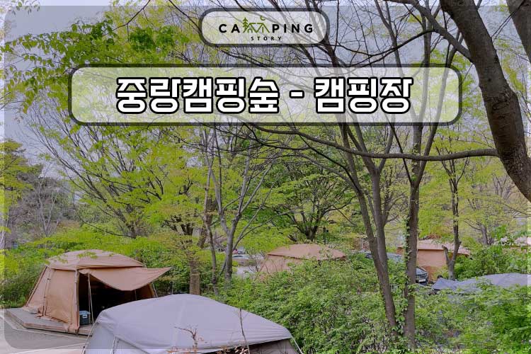 서울 캠핑장 추천 중랑캠핑숲