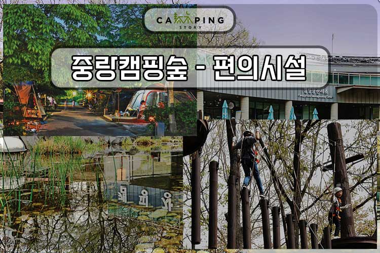 서울 캠핑장 추천 중랑캠핑숲